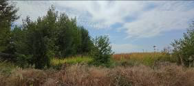 photo2