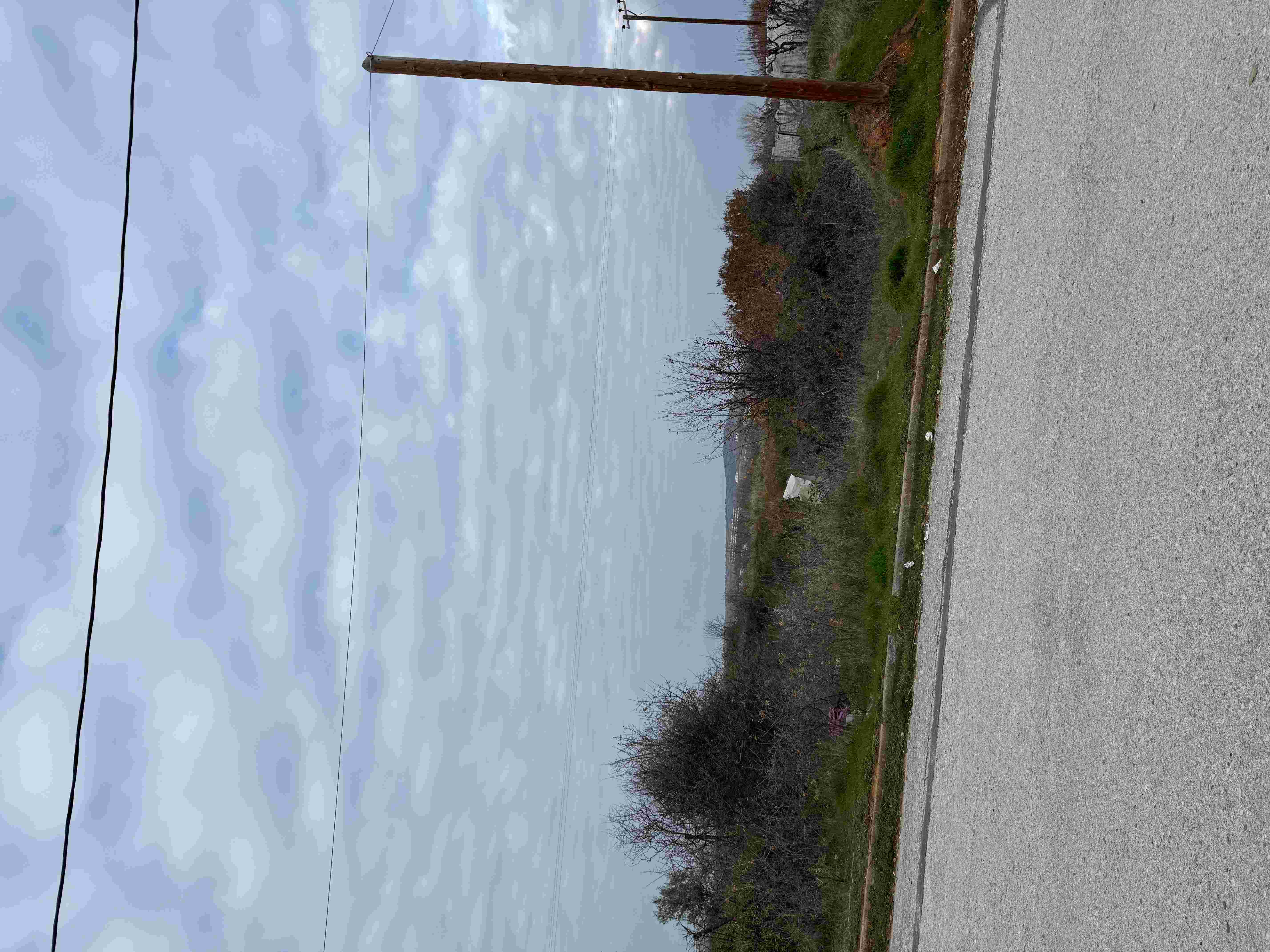 photo0