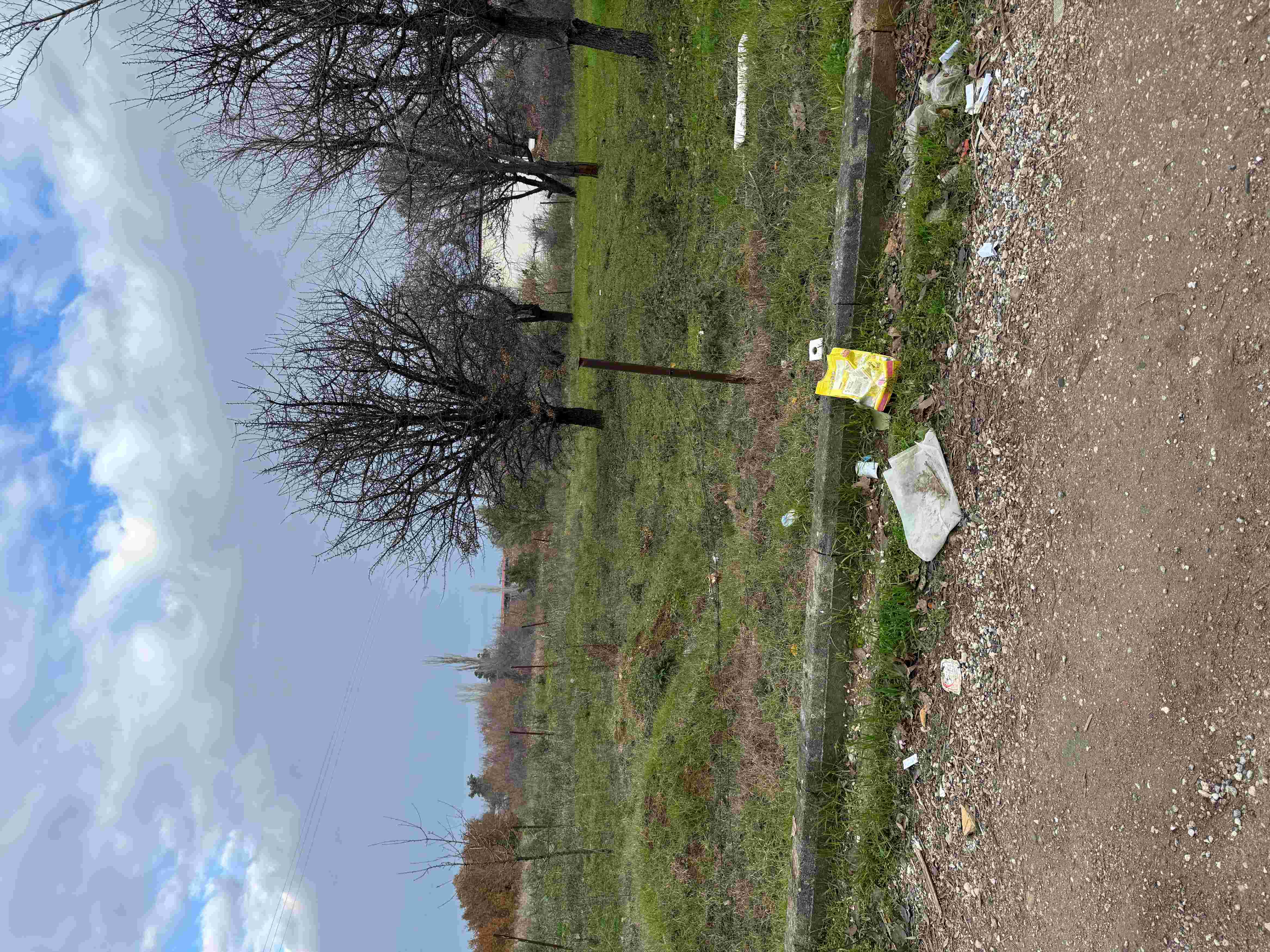 photo1