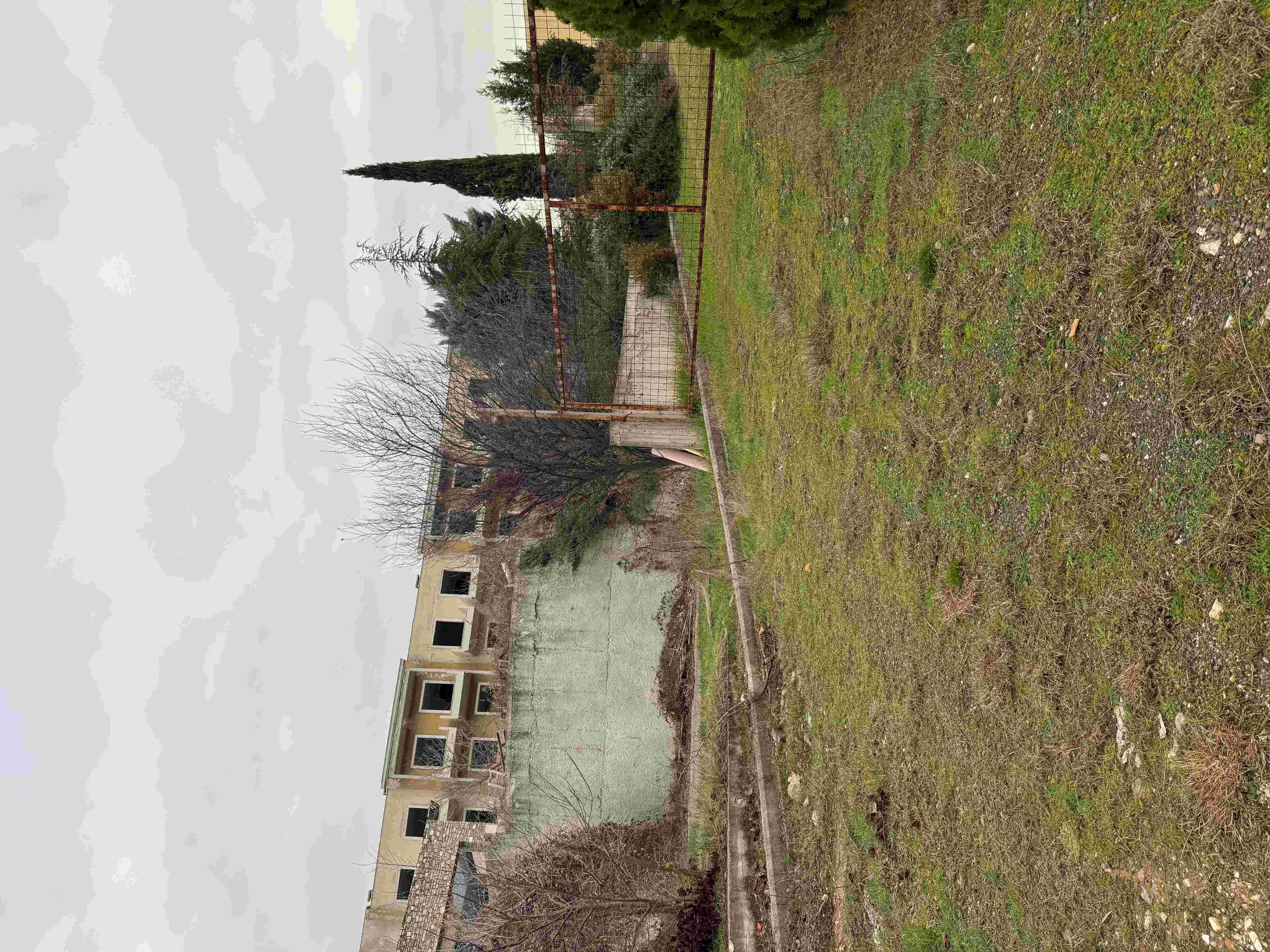 photo1
