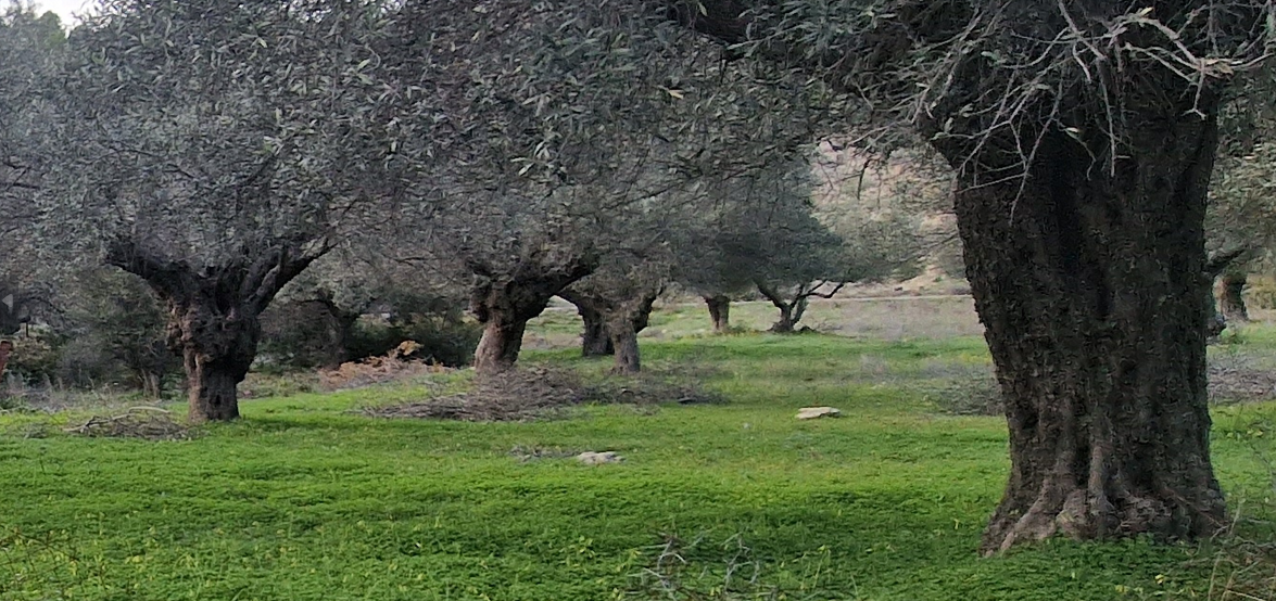 photo1