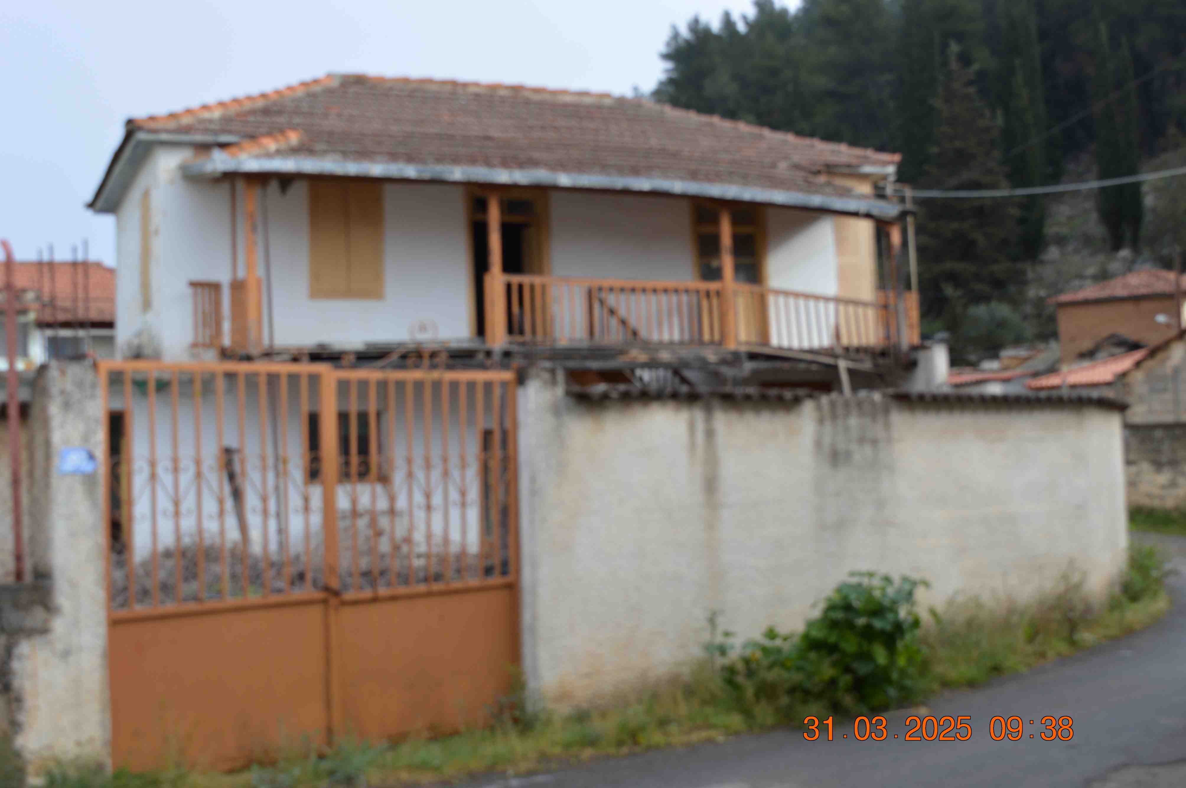 photo1