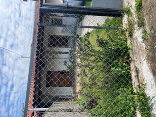 photo0