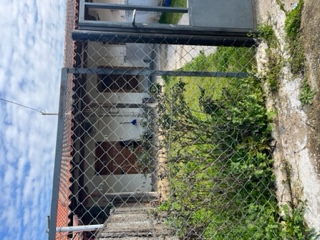 photo1
