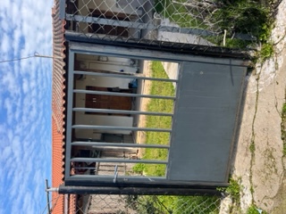 photo4