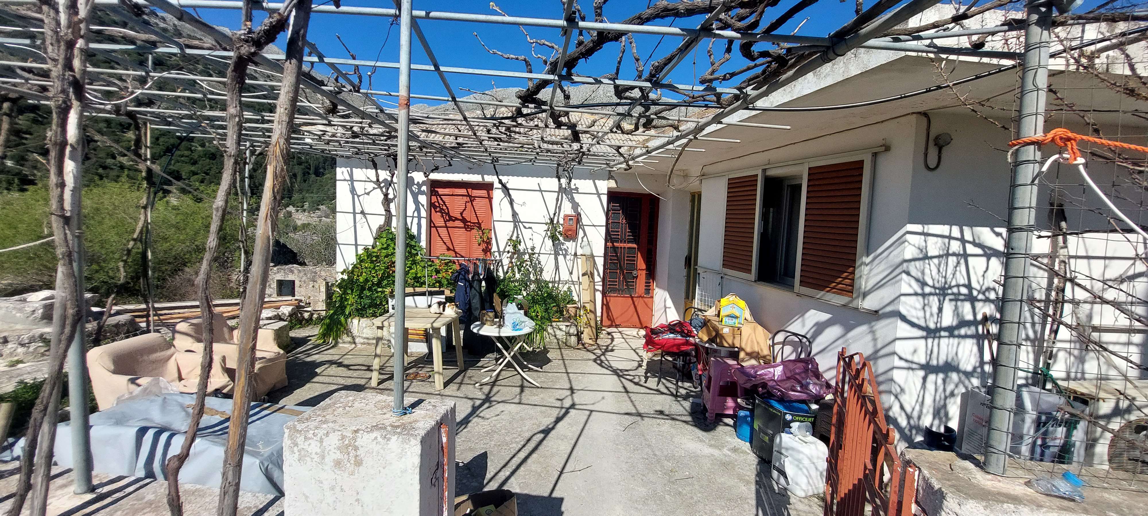 photo1