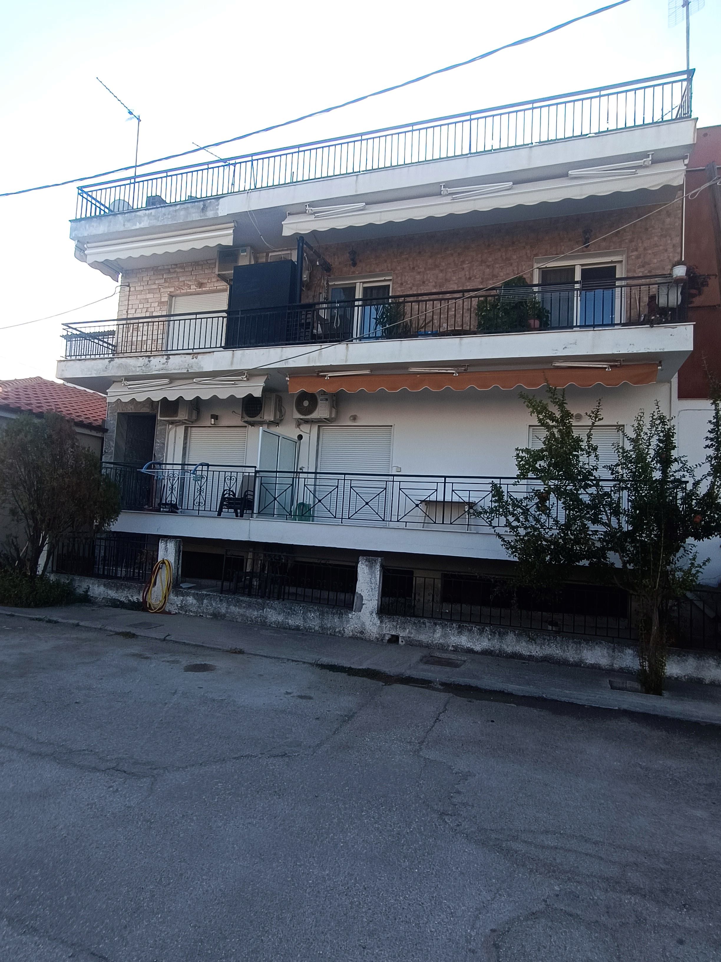 photo1