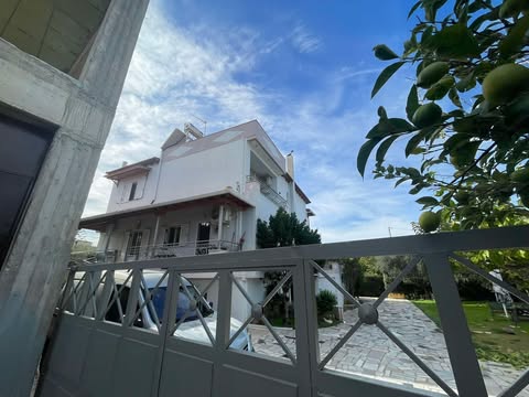 photo4