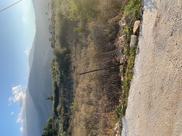 photo1