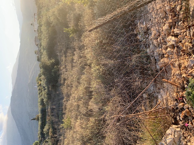 Οικόπεδο  σε πλειστηριασμό Municipality of Apokorono 