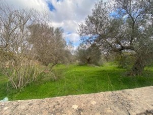 photo1