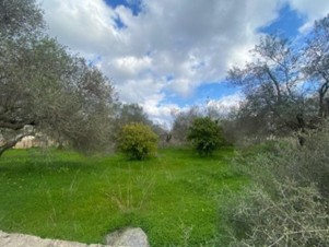 photomain