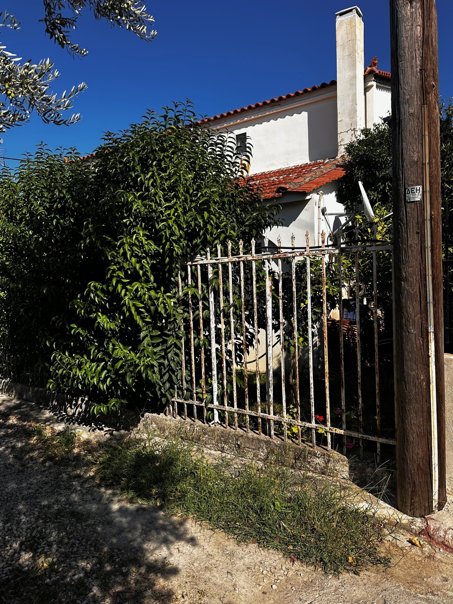 photo1