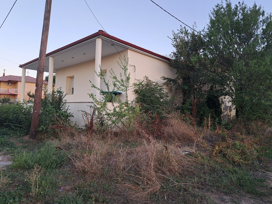 photo1