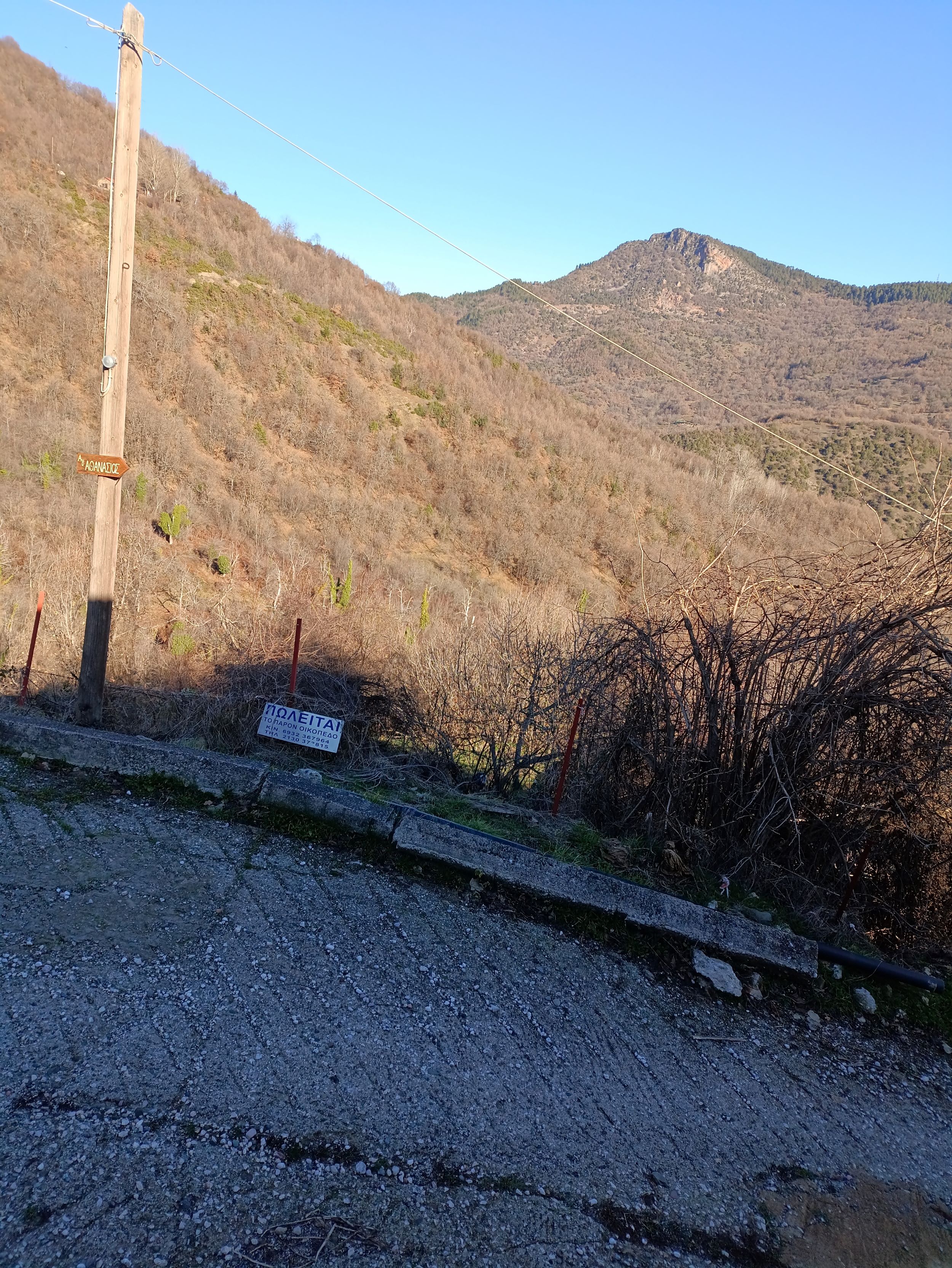 photo0