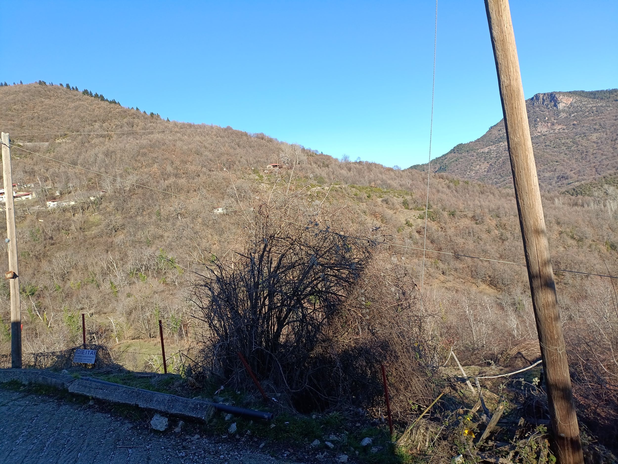 photo1