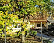 photo2