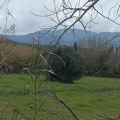 photo1