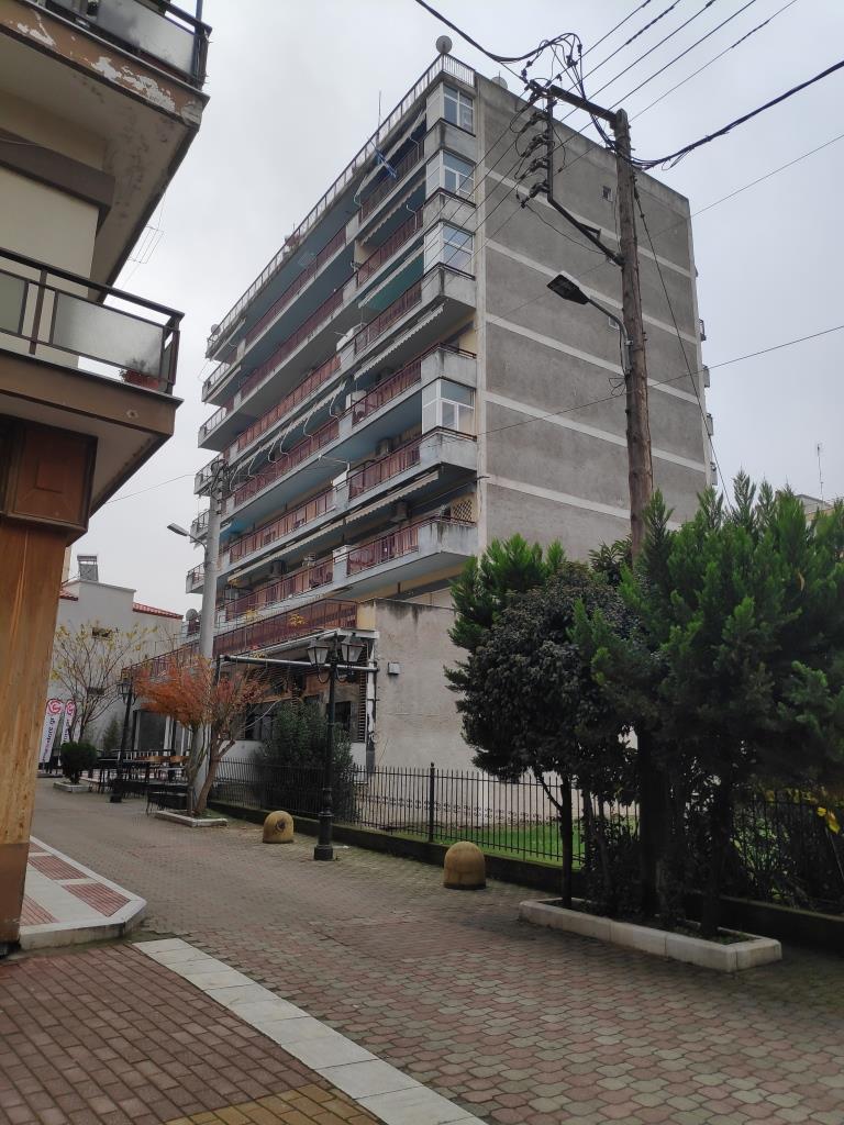 photo1