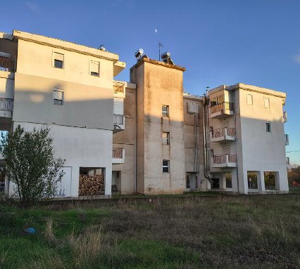 photo2