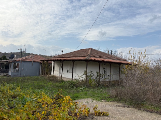 photo1