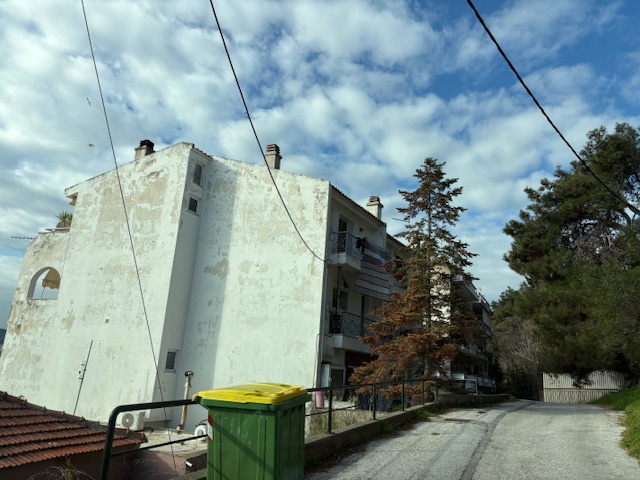 photo0