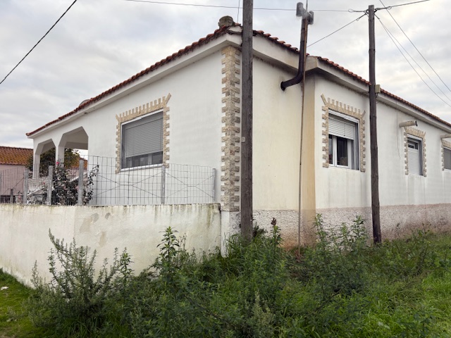 photo1