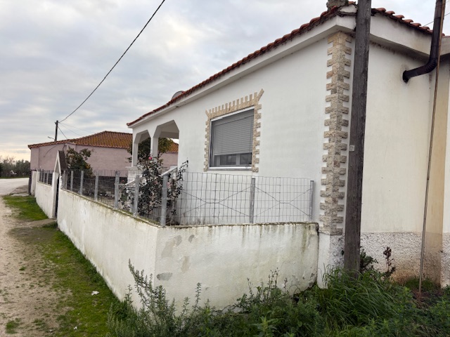 photo2