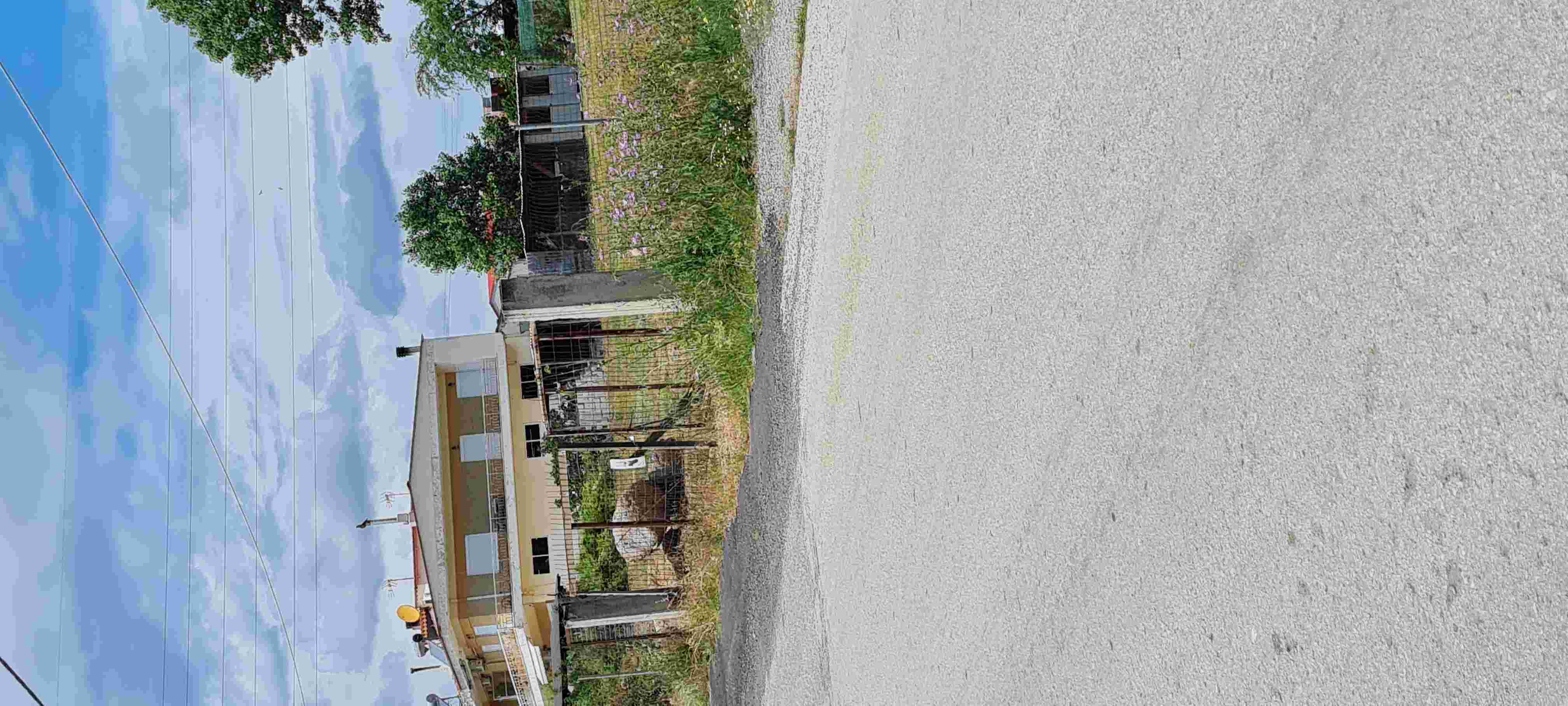 photo2