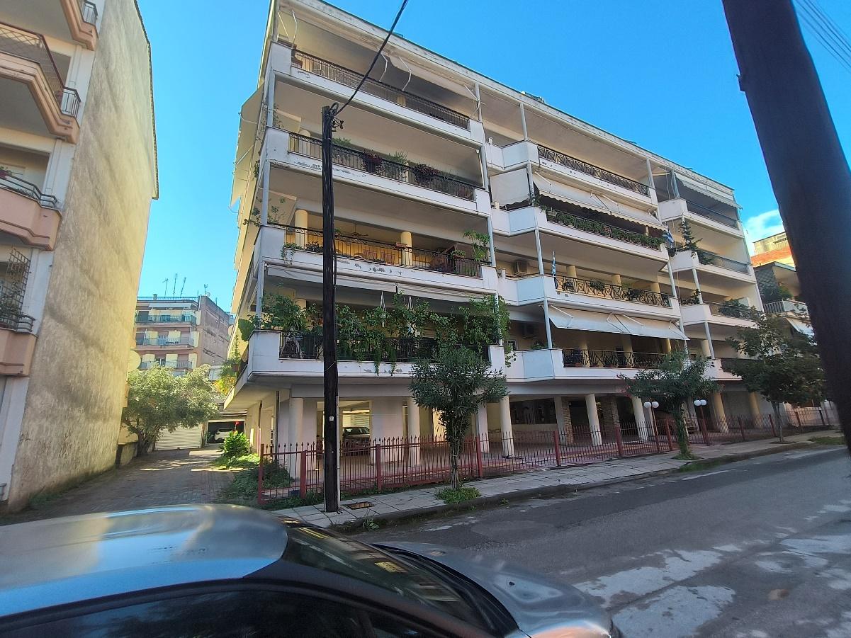 photo1