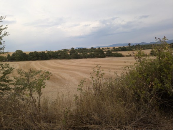 photo1