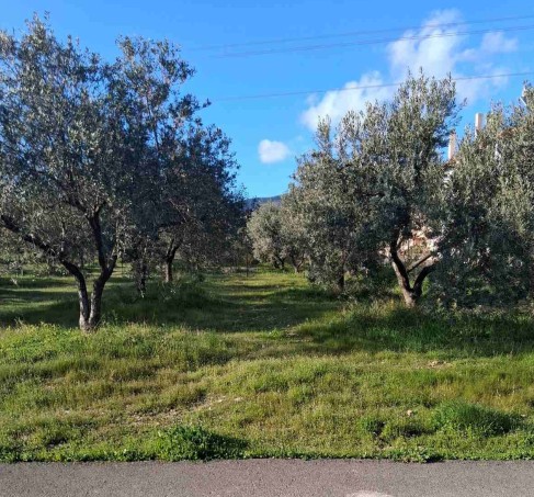 photo0
