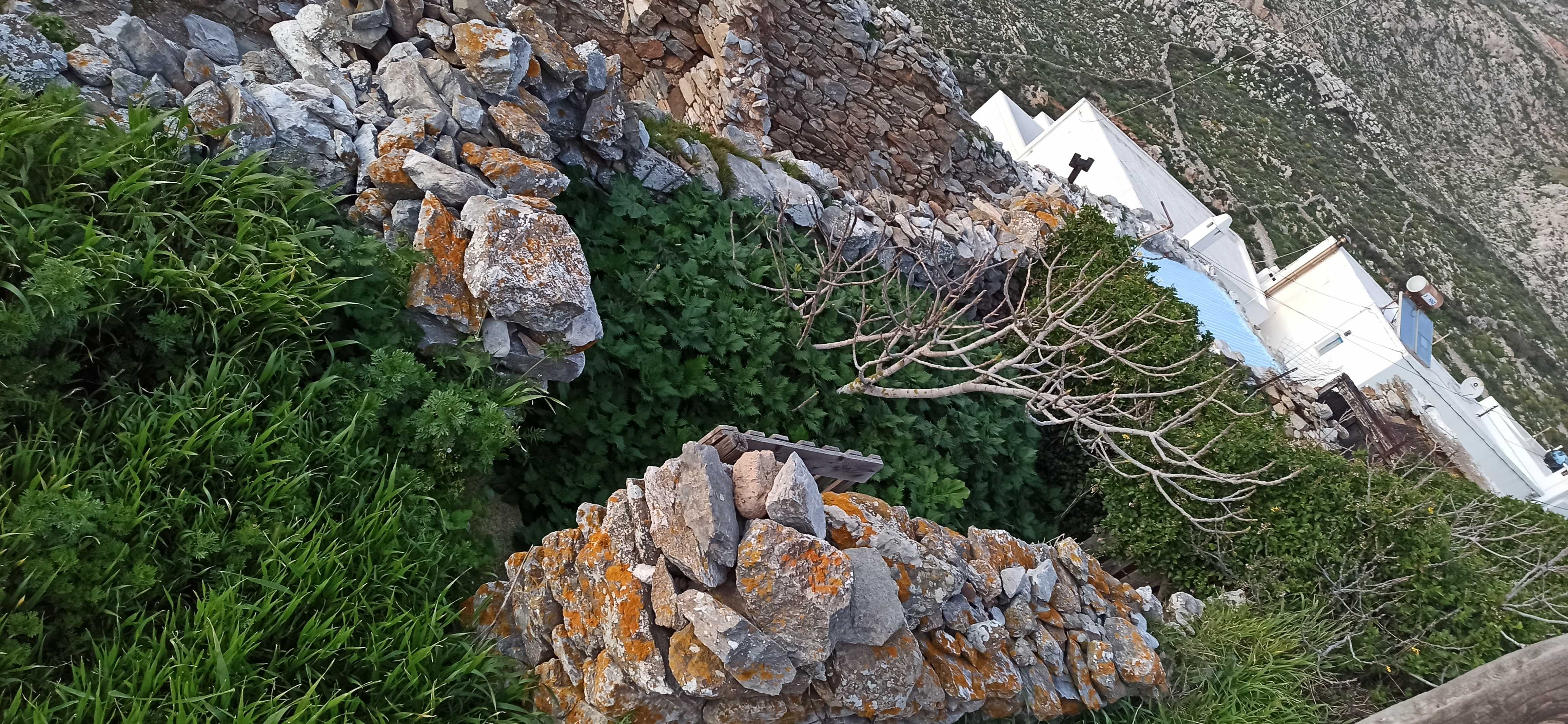 photo1