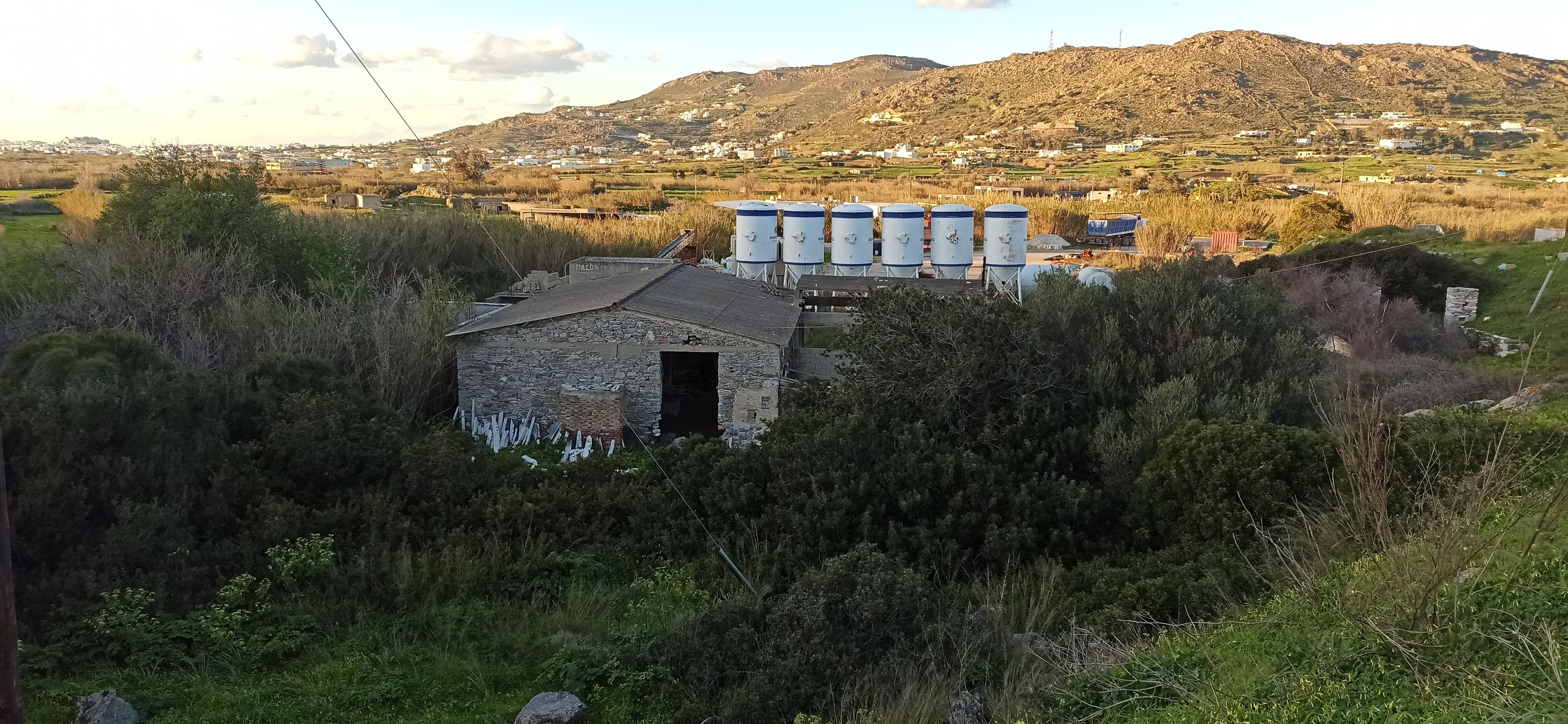 photo1