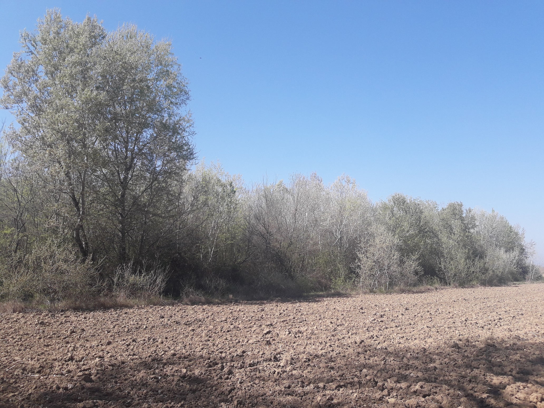photo2