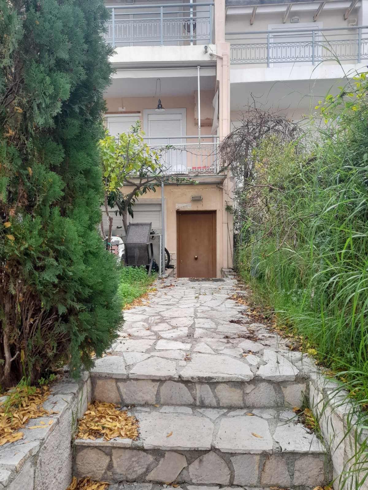 photo8