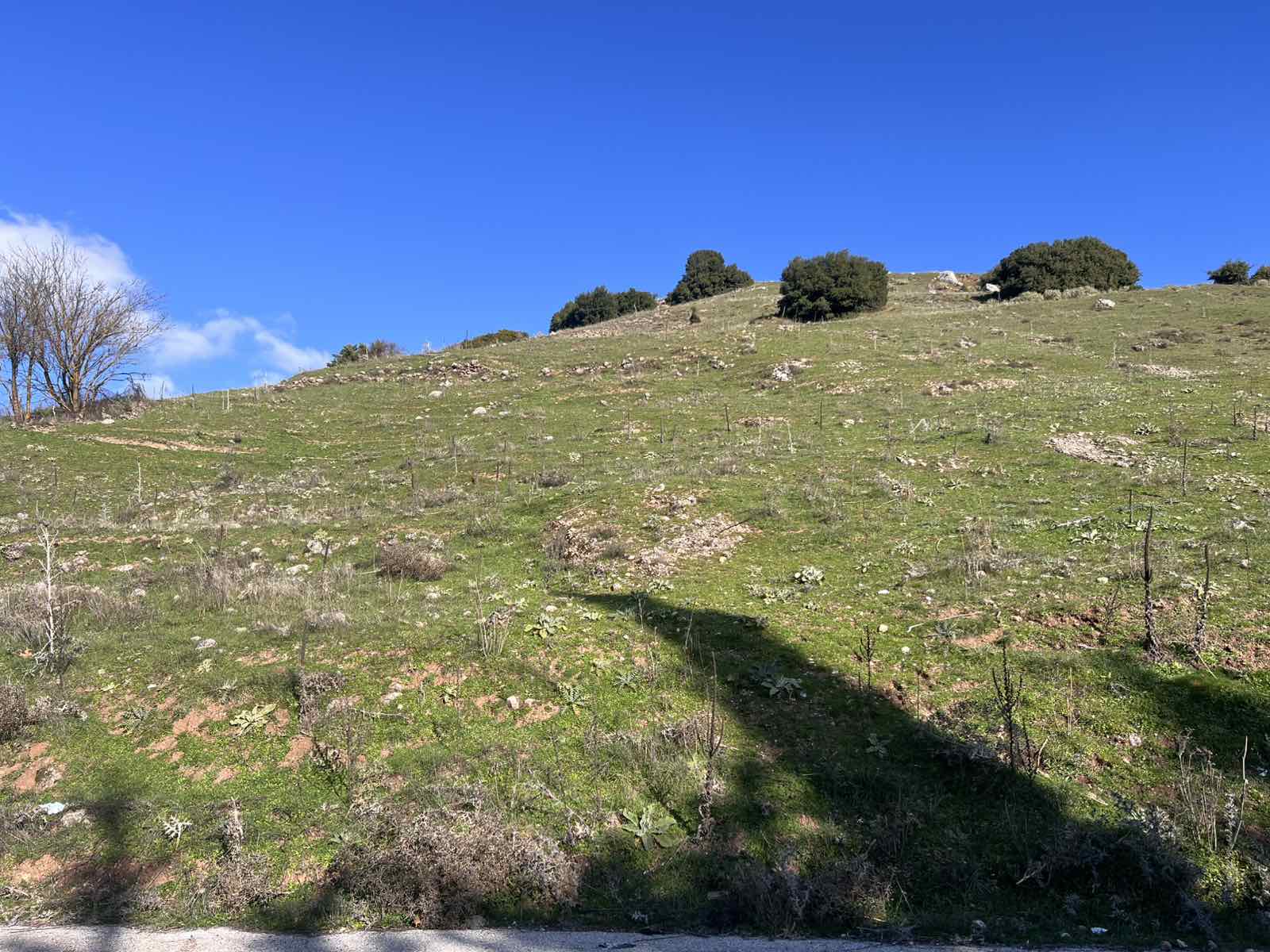 photo15