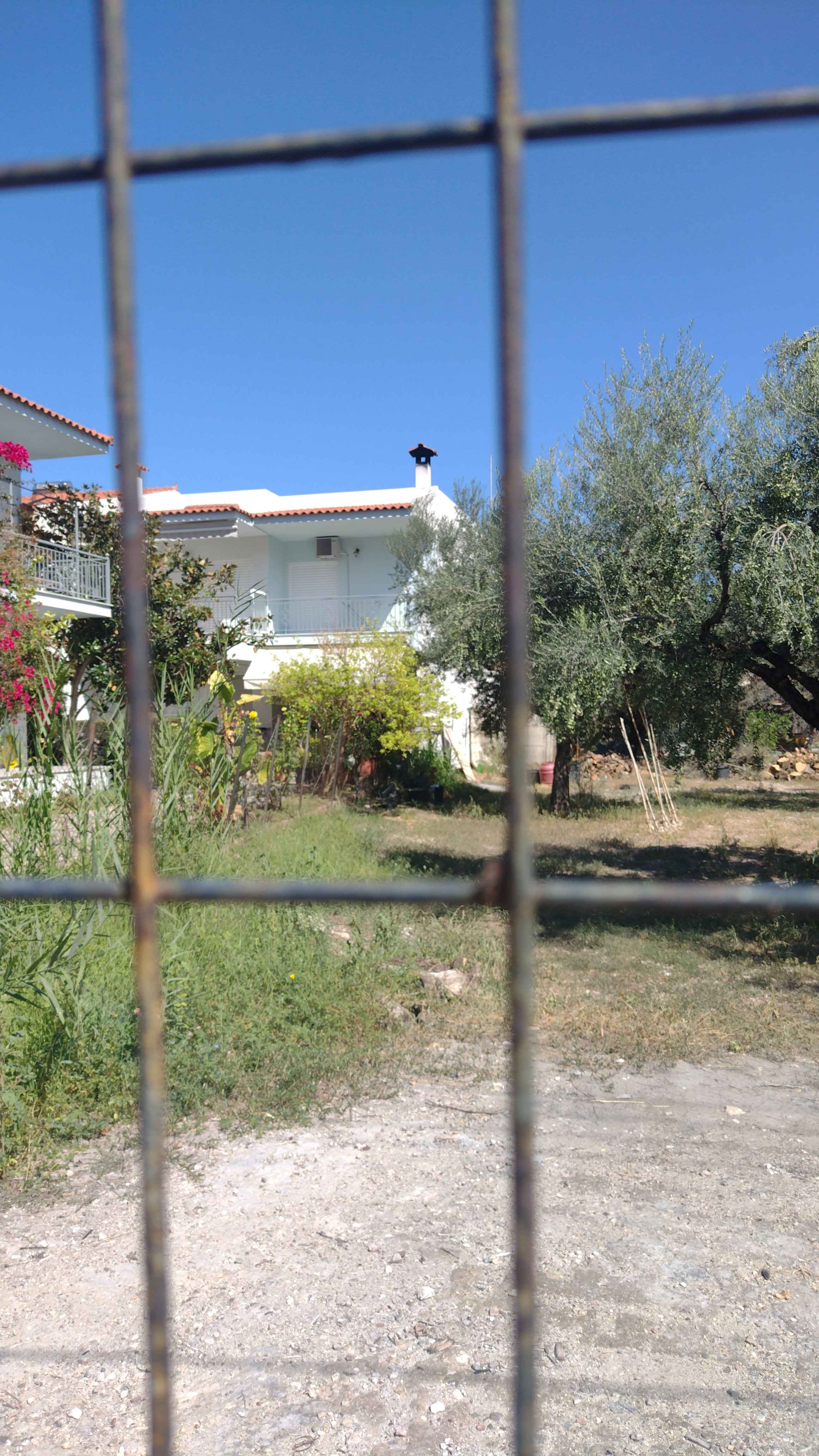 photo1