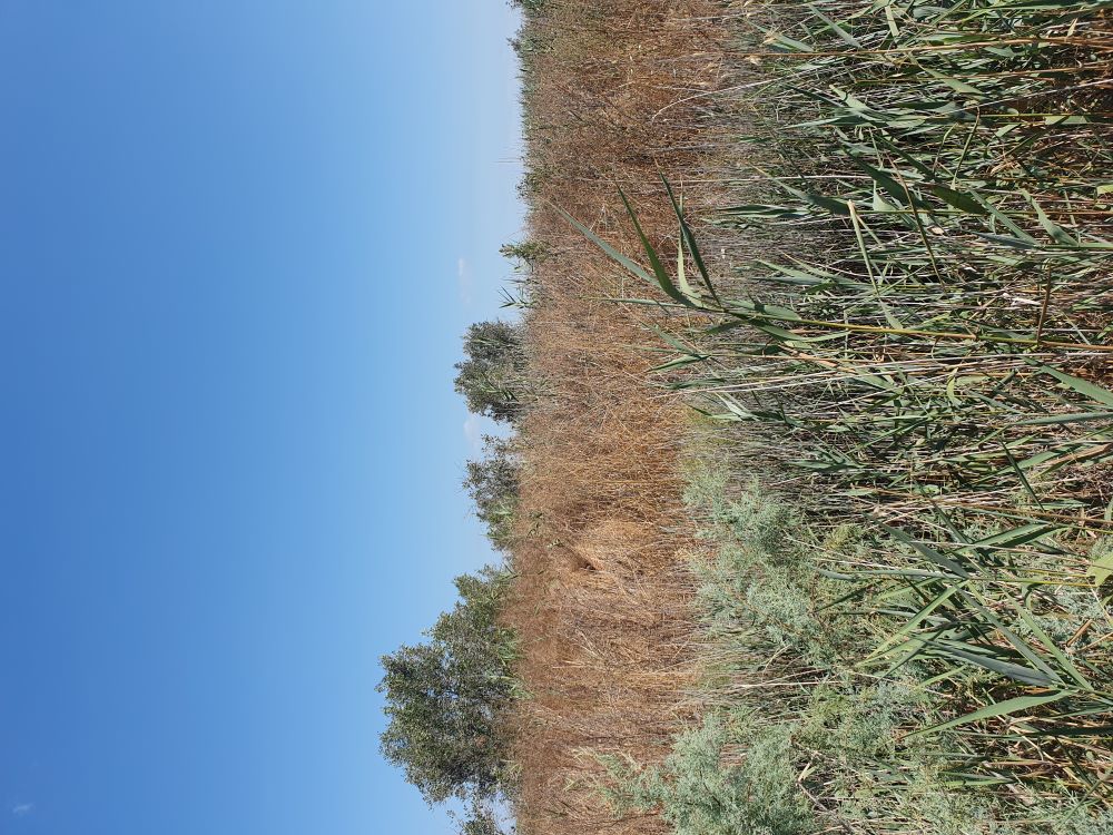 photo1