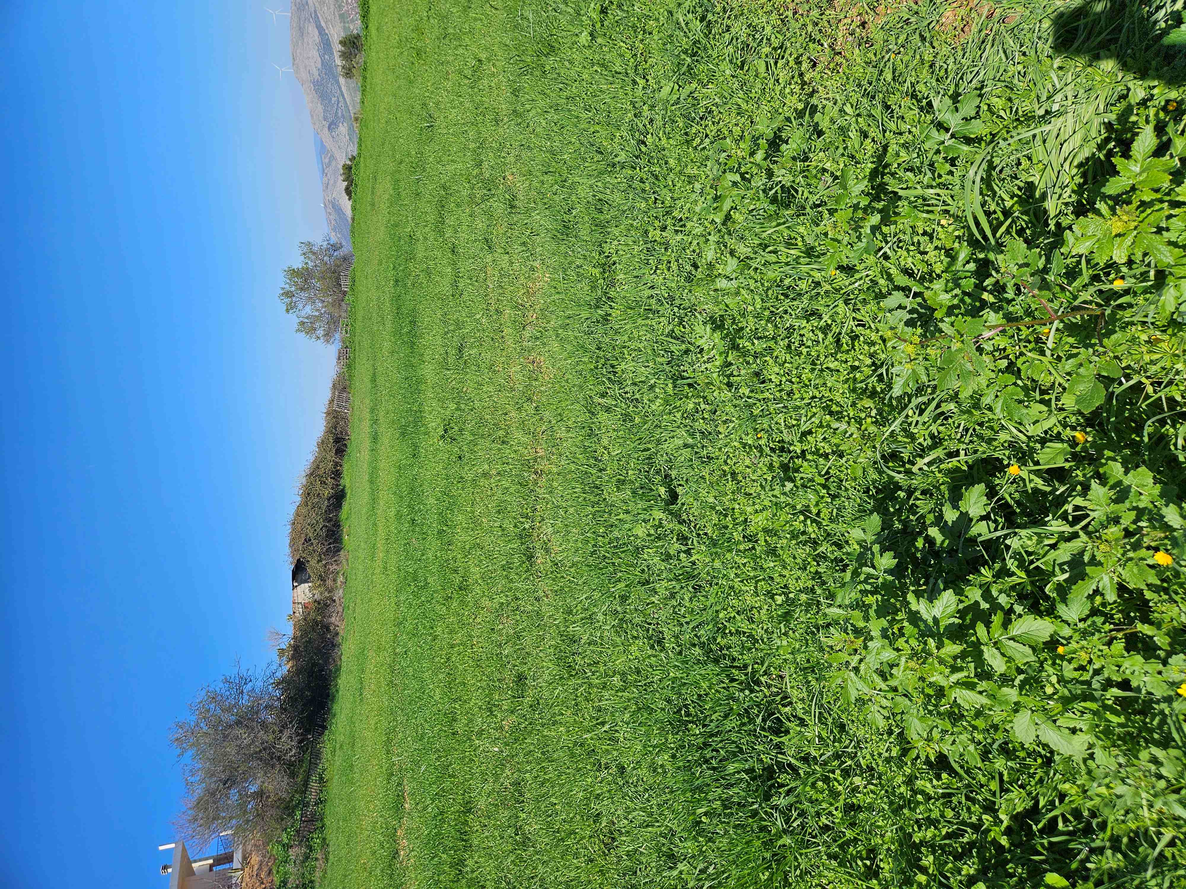 photo0