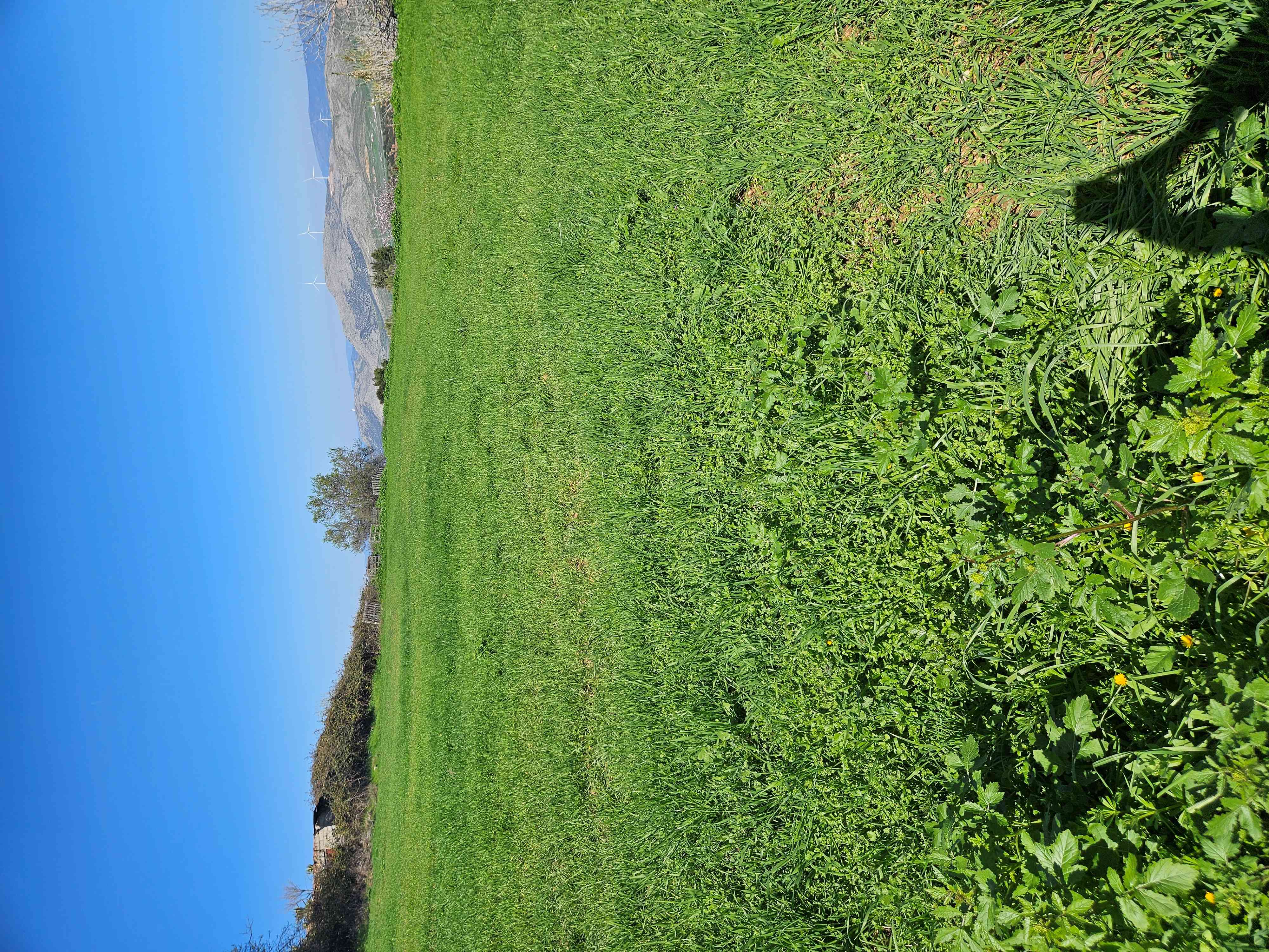 photo1