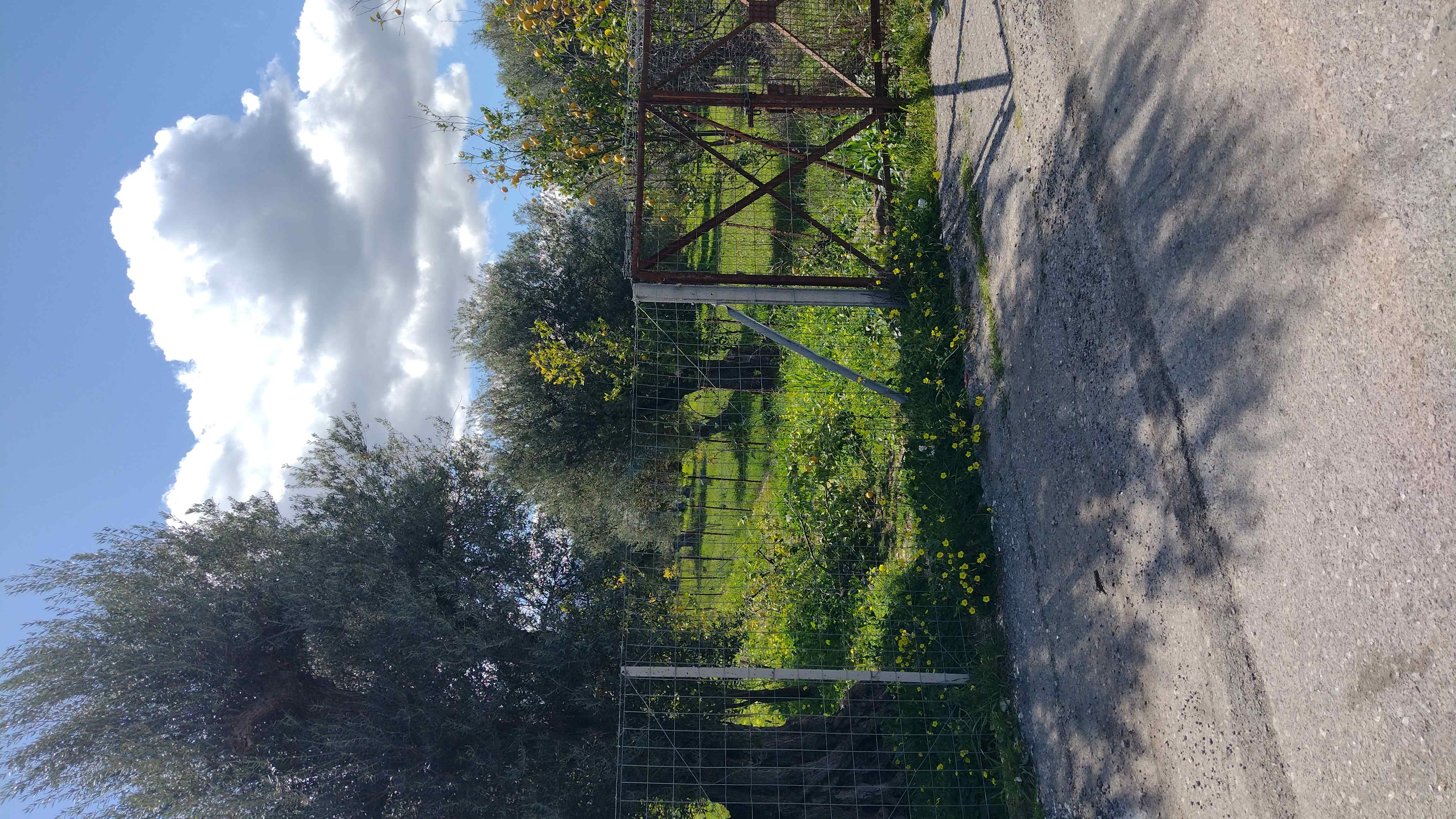 photomain