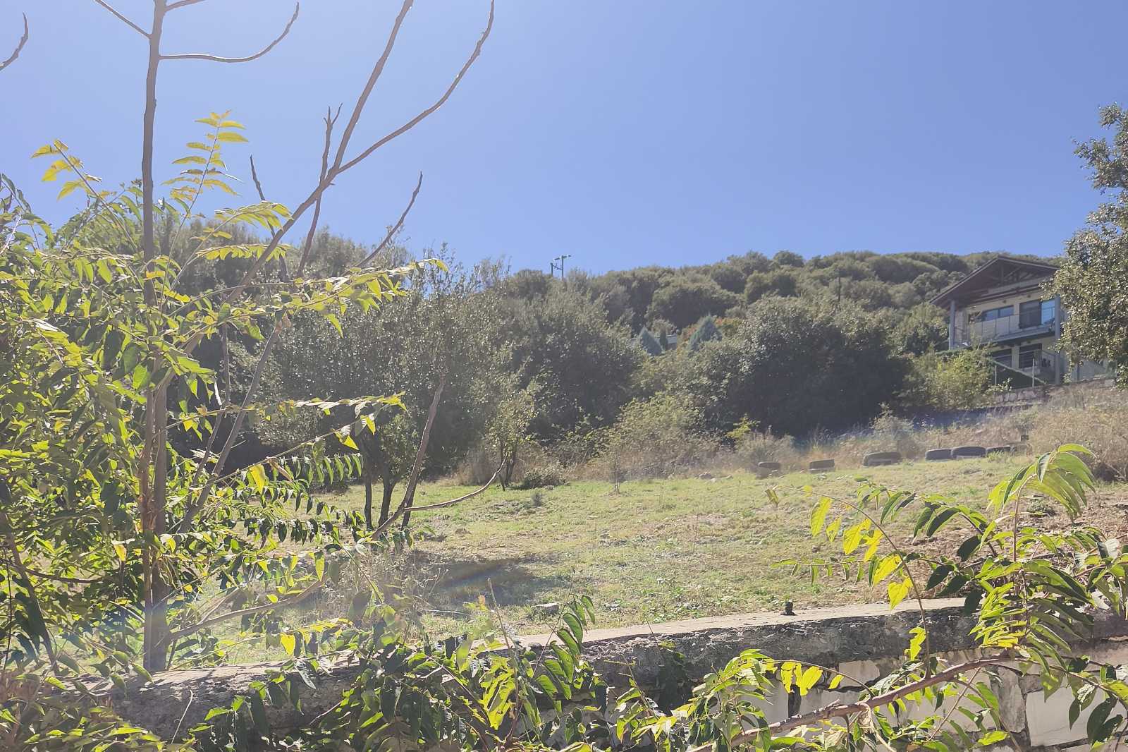 photo5