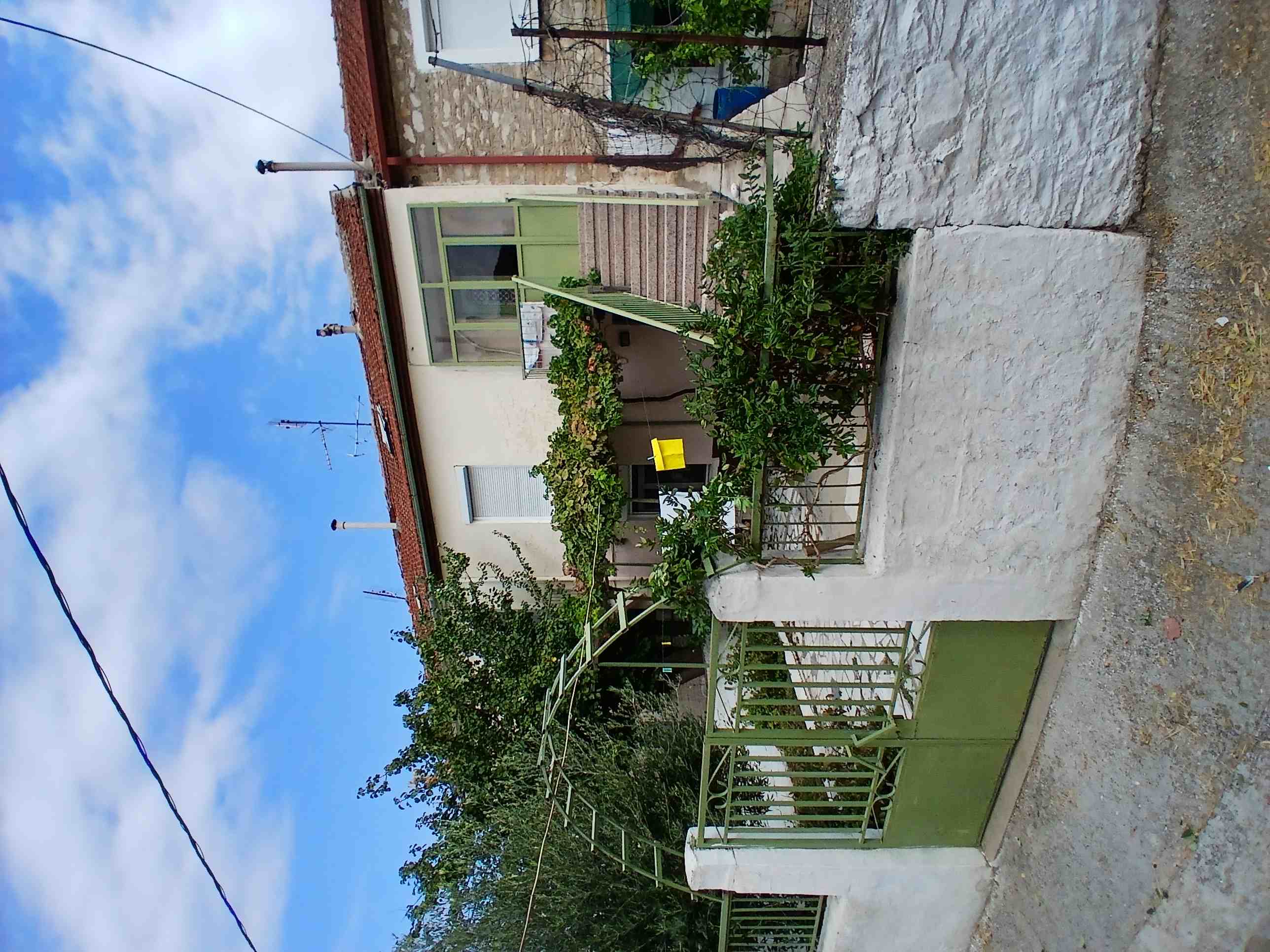 photo1