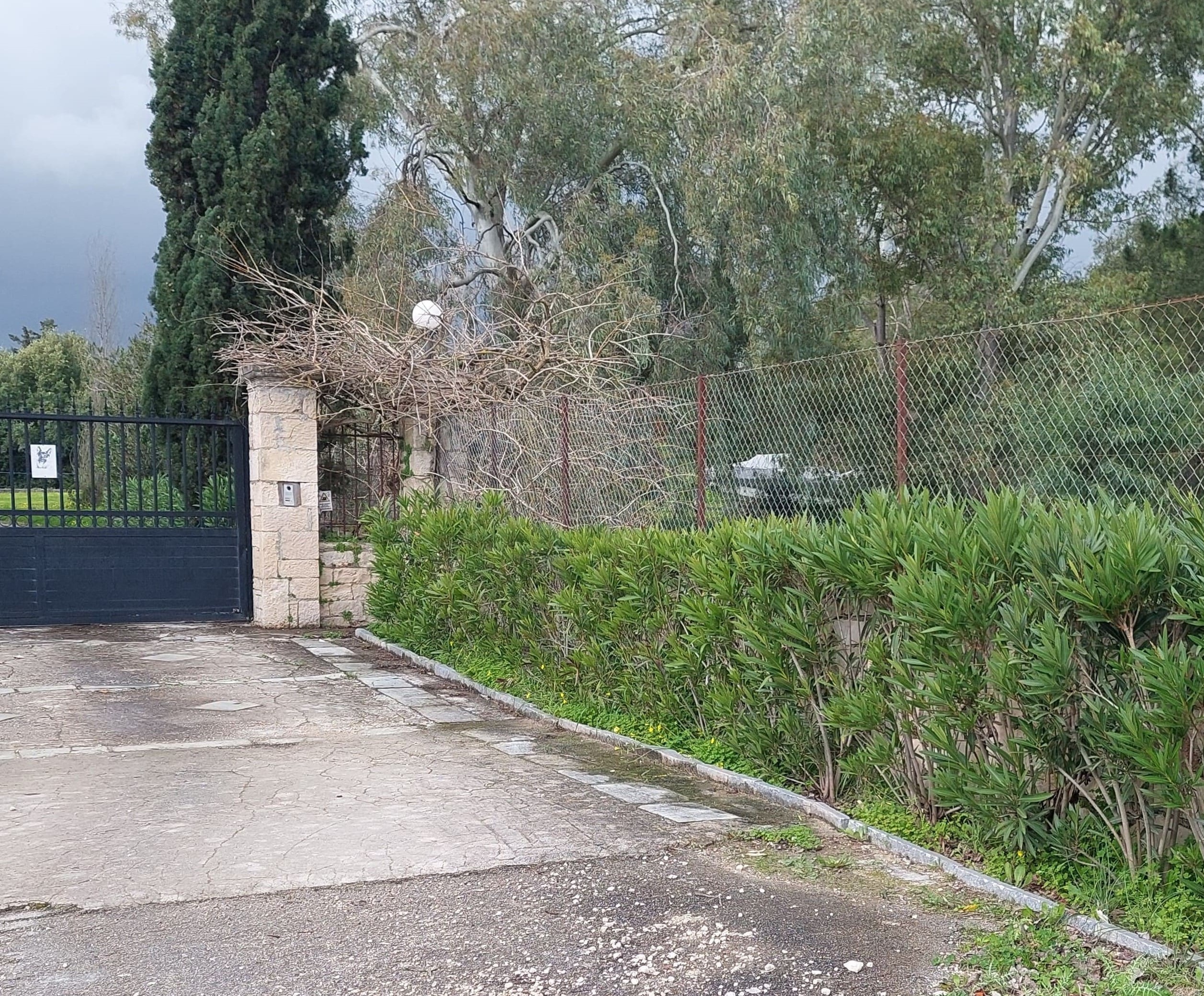 photo0