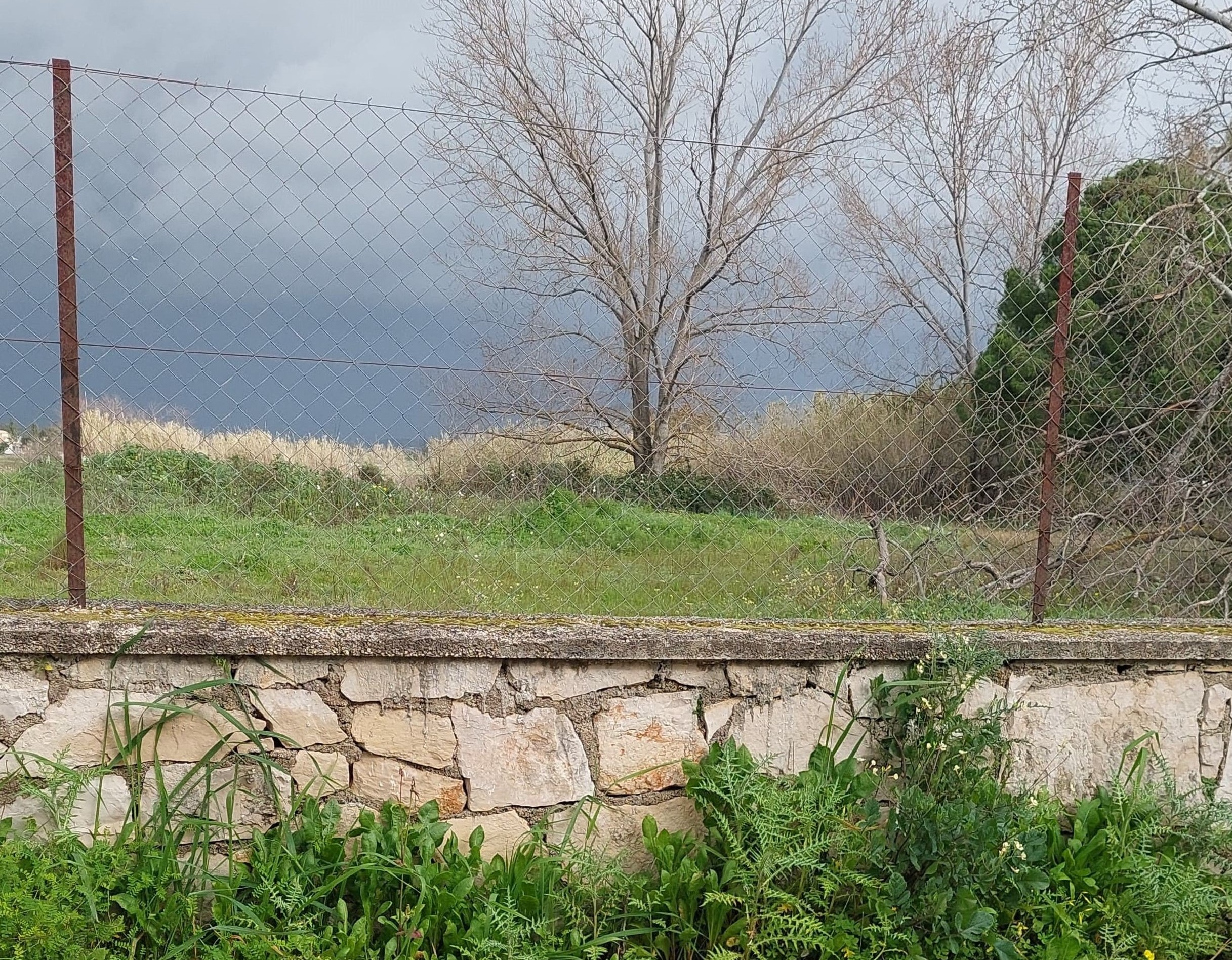 photo1