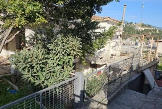 photo1