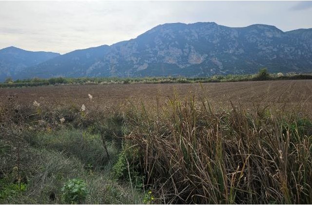photo3