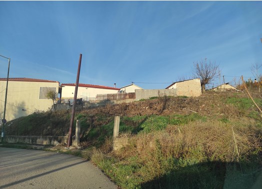 photo1