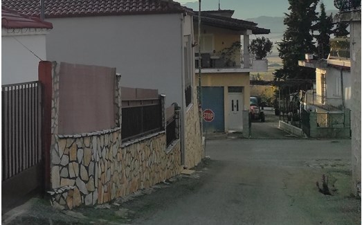 photo3